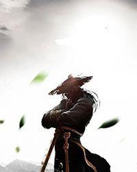 木叶的上下五十年TXT